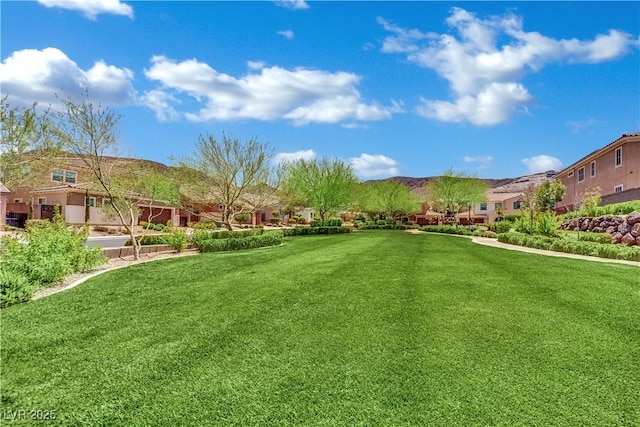 333 Mandarin Hill Ln, Henderson, NV 89012 - photo 37