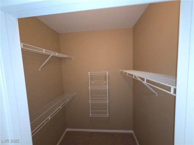 9000 Las Vegas Blvd Unit 2101, Las Vegas, NV 89123 - view of walk in closet