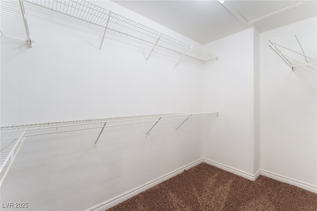 2400 Dutchmans Pipe Ct, Las Vegas, NV 89106 - walk in closet featuring carpet