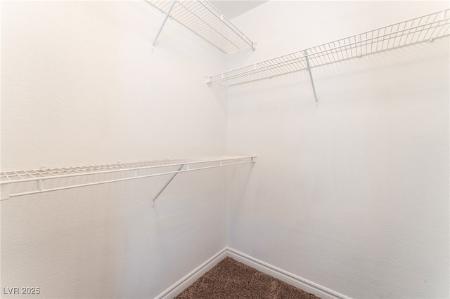 2400 Dutchmans Pipe Ct, Las Vegas, NV 89106 - walk in closet with dark colored carpet
