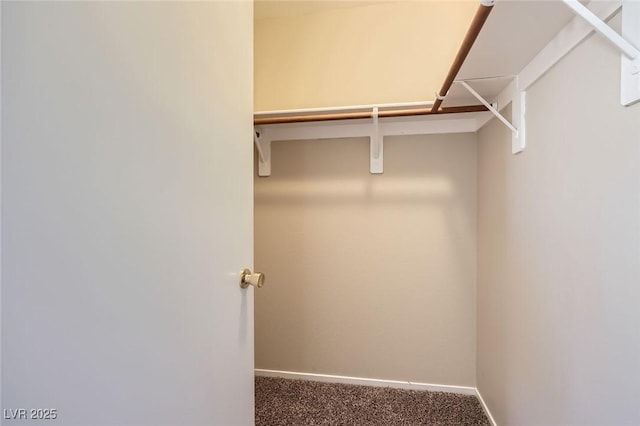 8842 Duncan Barrel Ave Unit 103, Las Vegas, NV 89178 - walk in closet with carpet