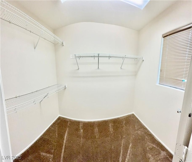 12021 Spice Tree St, Las Vegas, NV 89183 - photo 8