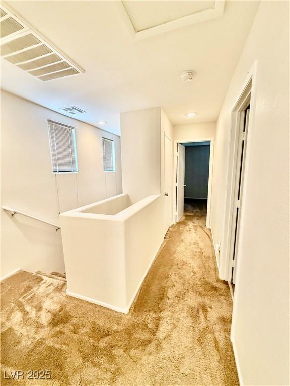 12021 Spice Tree St, Las Vegas, NV 89183 - photo 14