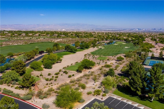 6 Yorkridge Ct, Henderson, NV 89052 - photo 54