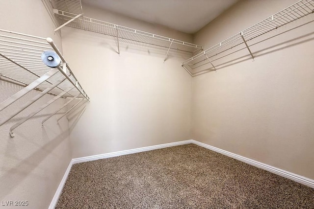 904 Swift Bear St, Henderson, NV 89002 - walk in closet with carpet floors