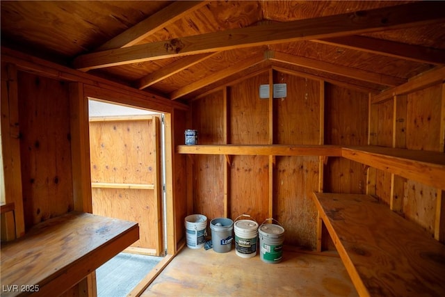 904 Swift Bear St, Henderson, NV 89002 - storage area featuring a sauna