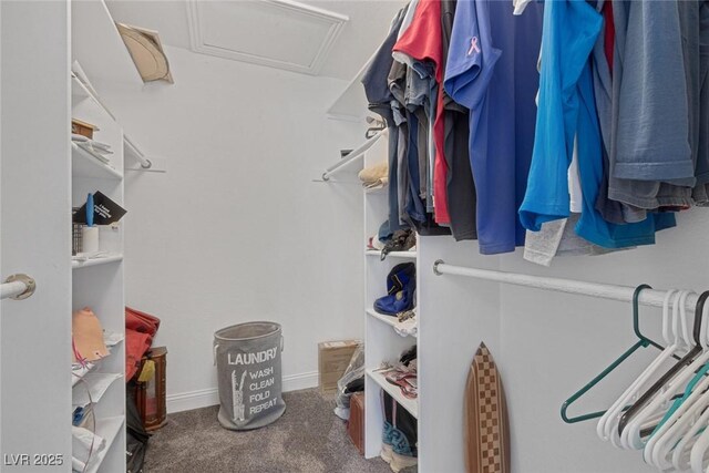 5755 W Meranto Ave, Las Vegas, NV 89139 - photo 24