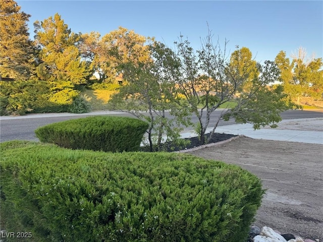 1218 Globe Mallow Ln, Tonopah, NV 89049 - photo 5
