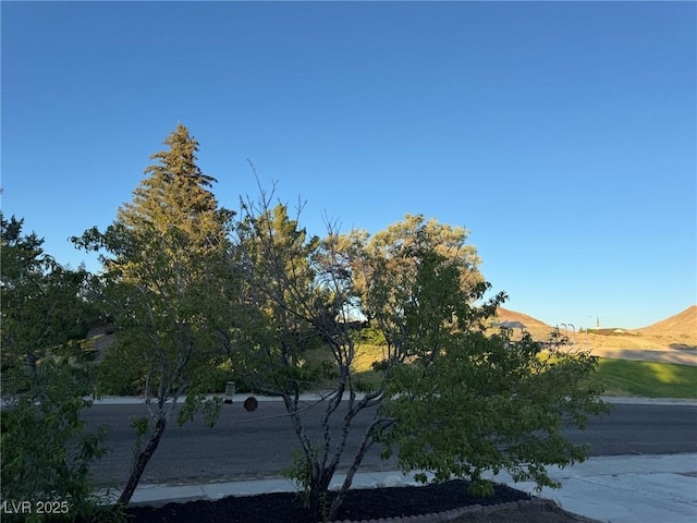 1218 Globe Mallow Ln, Tonopah, NV 89049 - photo 37