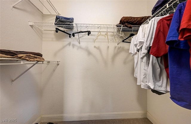 5055 W Hacienda Ave Unit 2003, Las Vegas, NV 89118 - view of walk in closet