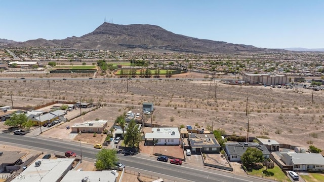 335 W Basic Rd, Henderson, NV 89015 - photo 33