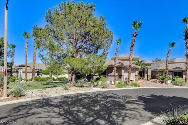 536 Pima Canyon Ct, Las Vegas, NV 89144 - view of property hidden behind natural elements with stucco siding, a garage, and driveway