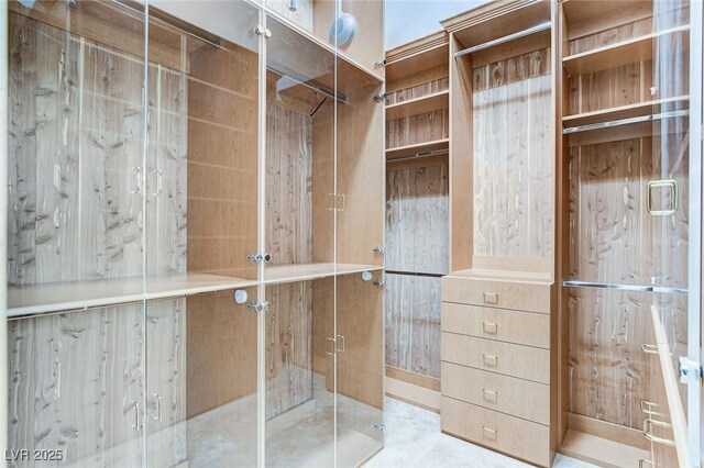 536 Pima Canyon Ct, Las Vegas, NV 89144 - view of walk in closet