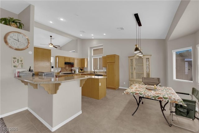 6781 Alpine Brooks Ave, Las Vegas, NV 89130 - photo 17