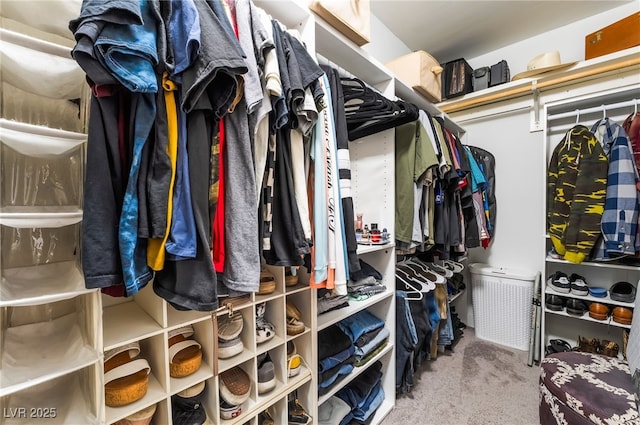 405 Box Elder Way, Henderson, NV 89015 - walk in closet featuring carpet floors
