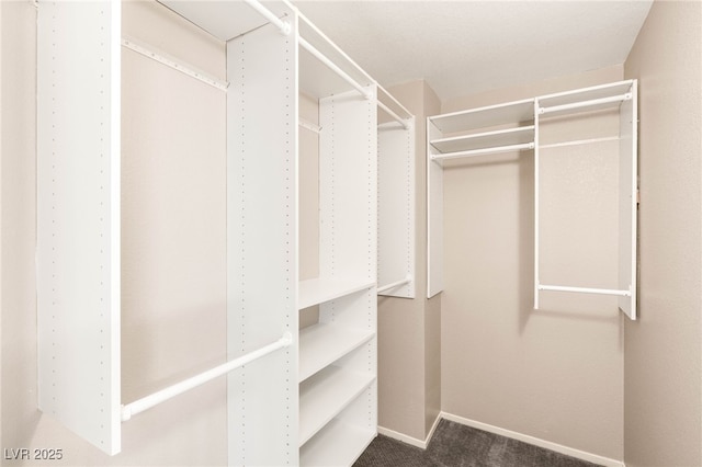 1125 Lumina Ct, Las Vegas, NV 89117 - photo 34