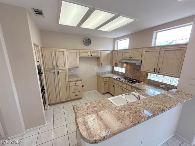 2524 Banora Point Dr, Las Vegas, NV 89134 - photo 7