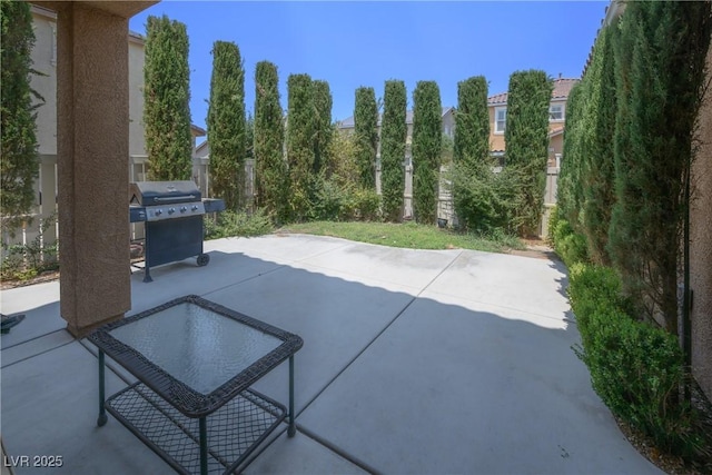 3228 Mist Effect Ave, Henderson, NV 89044 - photo 30