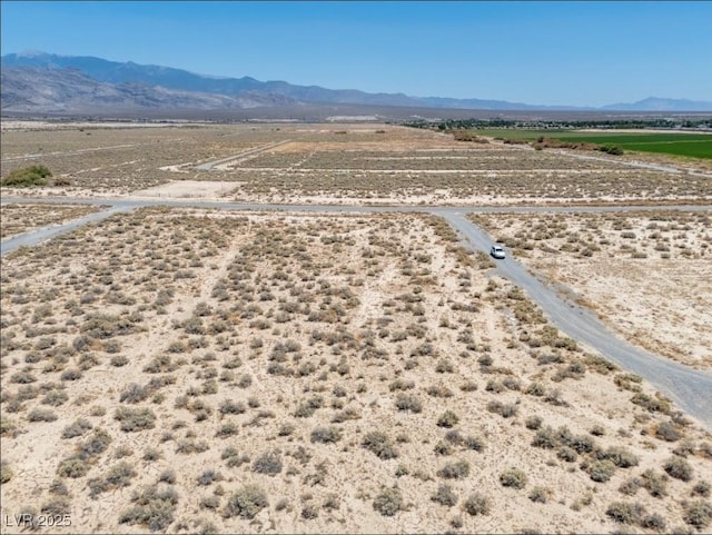 3950 E Toucan Ct, Pahrump, NV 89048 - photo 4