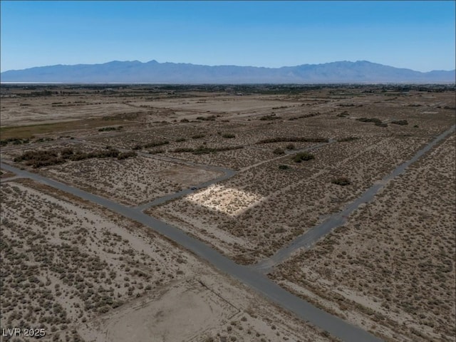 3950 E Toucan Ct, Pahrump, NV 89048 - photo 9