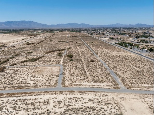 3950 E Toucan Ct, Pahrump, NV 89048 - photo 10