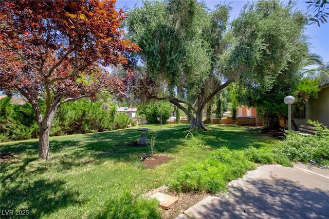 3551 Rochelle Ave, Las Vegas, NV 89121 - photo 6