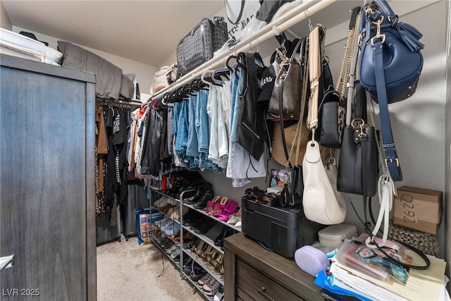 2620 Canary Yellow Ct, North Las Vegas, NV 89086 - walk in closet with carpet floors