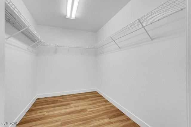 9824 Babys Breath Ct, Las Vegas, NV 89183 - walk in closet with light wood-type flooring