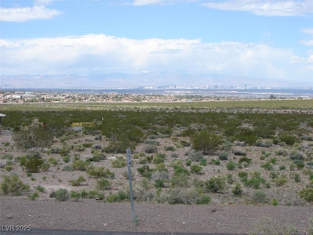 1598 Cowboy Chaps Pl, Henderson, NV 89002 - bird's eye view