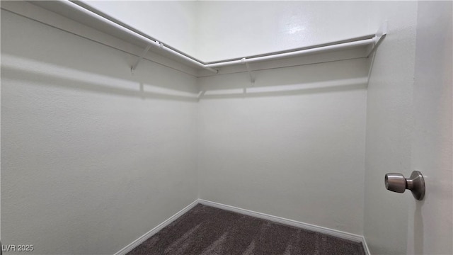 575 Roxella Ln Unit D, Las Vegas, NV 89110 - photo 20