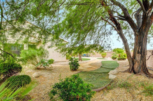 2766 Mintlaw Ave, Henderson, NV 89044 - view of yard