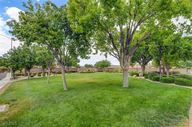 2766 Mintlaw Ave, Henderson, NV 89044 - view of grassy yard