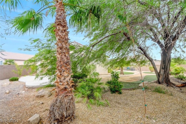2766 Mintlaw Ave, Henderson, NV 89044 - view of yard