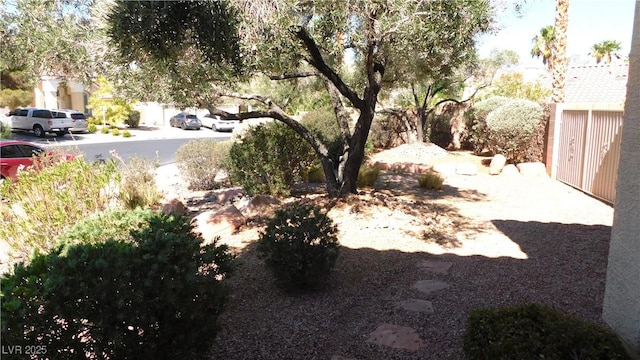 2587 Mizzoni Cir, Henderson, NV 89052 - view of yard