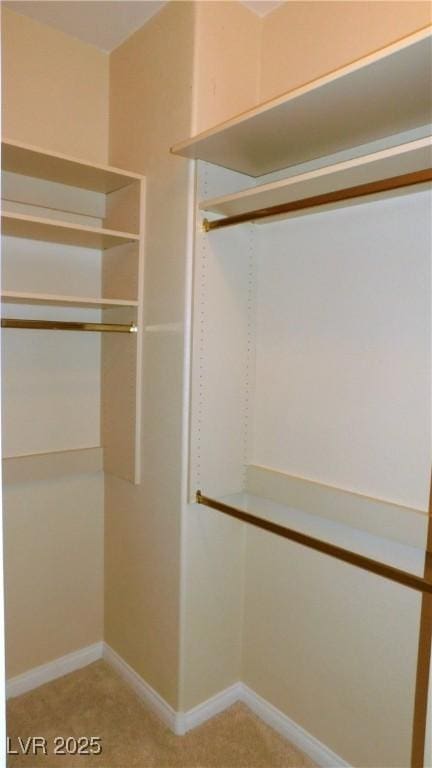 2587 Mizzoni Cir, Henderson, NV 89052 - walk in closet featuring light carpet