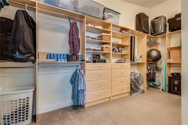 5681 Exotic Rosette Ave, Las Vegas, NV 89139 - spacious closet featuring light carpet