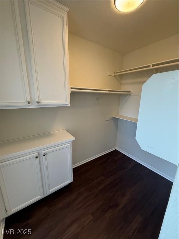216 Night Fall Ter, Henderson, NV 89015 - walk in closet with dark wood finished floors