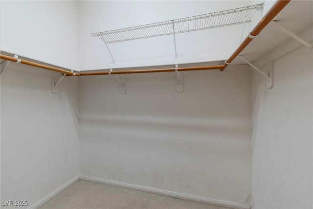 9605 Rainfall Ave, Las Vegas, NV 89147 - walk in closet with carpet floors