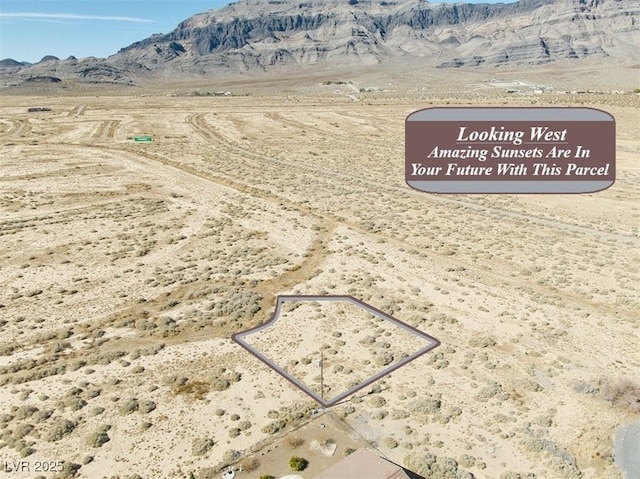 1610 W Cobalt Ln, Pahrump, NV 89060 - photo 8