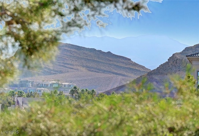 11417 Rock Cove Way, Las Vegas, NV 89141 - mountain view