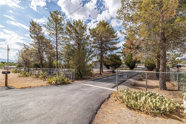 3951 W Blosser Ranch Rd, Pahrump, NV 89060 - view of asphalt road