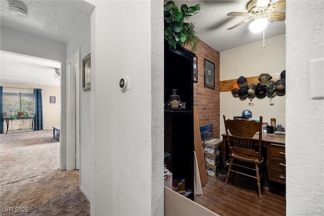3951 W Blosser Ranch Rd, Pahrump, NV 89060 - hallway with a textured wall and carpet flooring