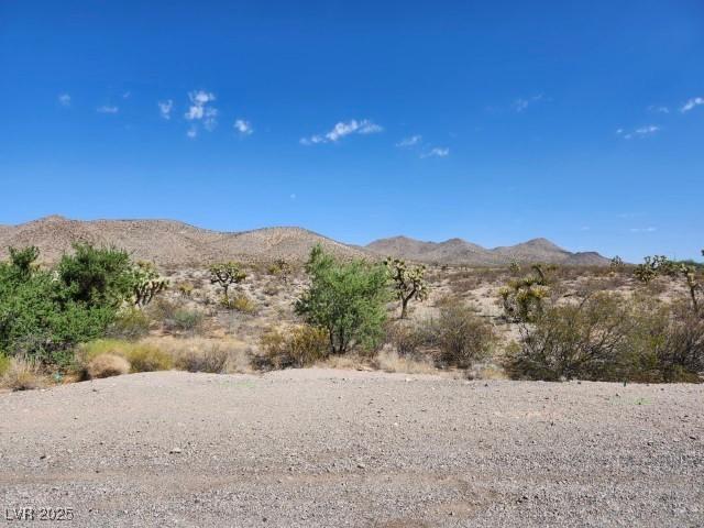 Cottonwood Cove Rd, Searchlight, NV 89046