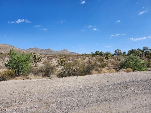 Cottonwood Cove Rd, Searchlight, NV 89046