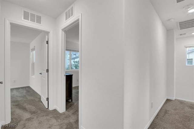 2813 Tahiti Grape Way Unit 4, Las Vegas, NV 89183 - photo 26