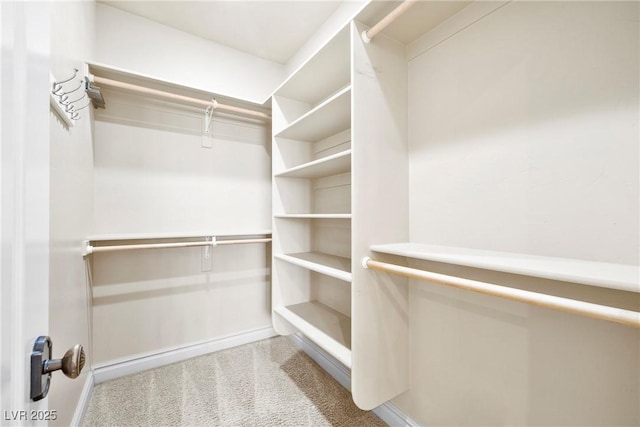 2477 Adobe Wells Dr, Logandale, NV 89021 - walk in closet with carpet floors