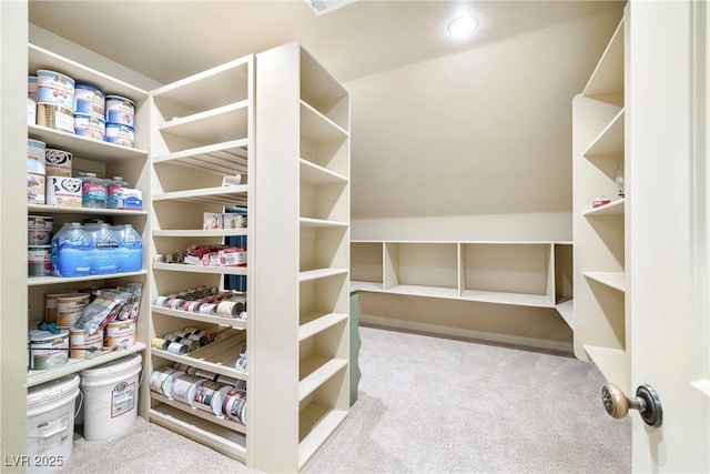 2477 Adobe Wells Dr, Logandale, NV 89021 - view of storage area