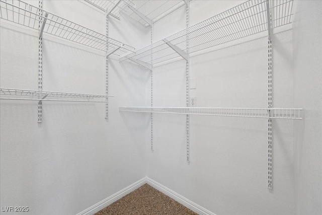 924 Crescent Falls St, Henderson, NV 89011 - walk in closet featuring carpet floors