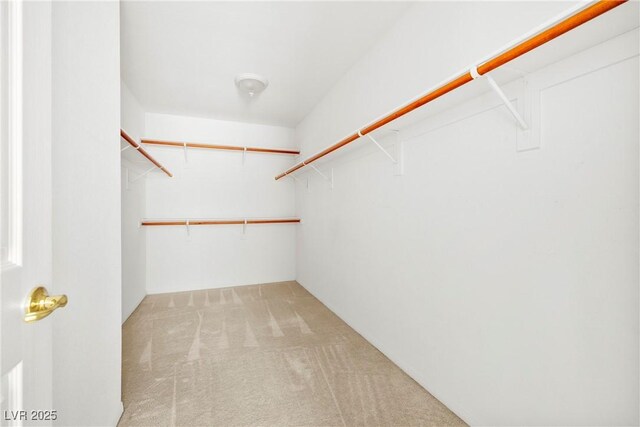 8065 Retriever Ave, Las Vegas, NV 89147 - walk in closet featuring carpet floors