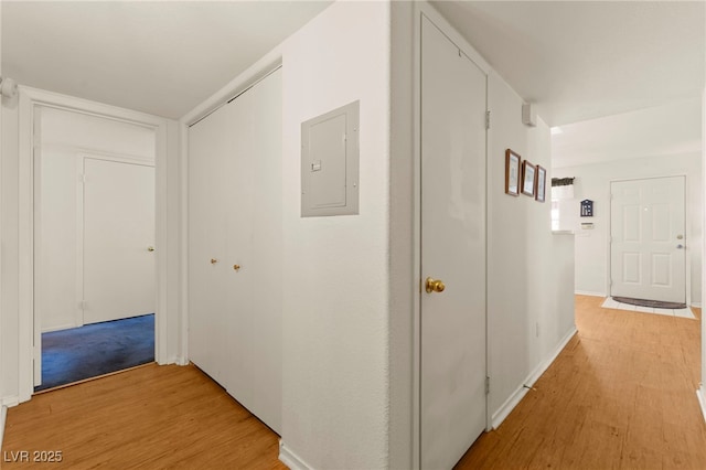 3152 Tarpon Dr Unit 203, Las Vegas, NV 89120 - hall with electric panel and light wood-style flooring
